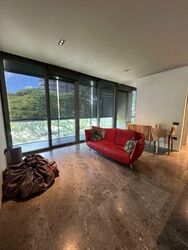 Cuscaden Reserve (D10), Condominium #577360081